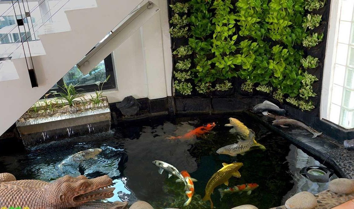 Hồ cá Koi trong nhà, Thiết kế hồ cá koi mini trong nhà