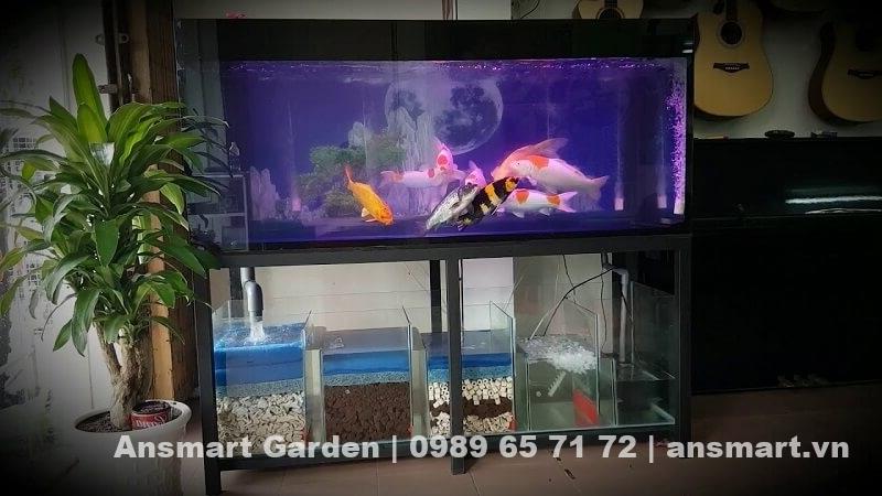Thông tin cách nuôi cá trong bể kính