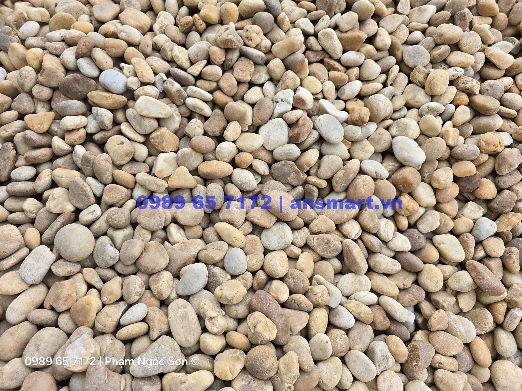 Bán sỏi cuội tự nhiên trải sân vườn nhiều kích thước, giao hàng tận nơi Giá sỏi cuội vàng